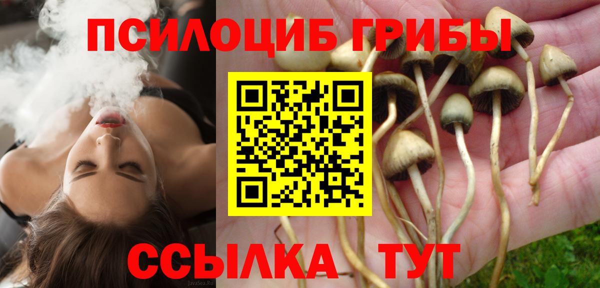 Галлюциногенные грибы Cubensis Елец